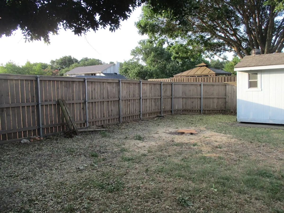 Cleared yard after professional tree removal in Joseph